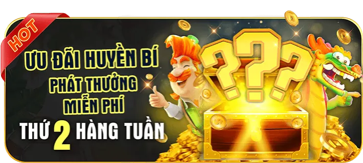 Phân tích các chương trình khuyến mãi mới nhất của dp568