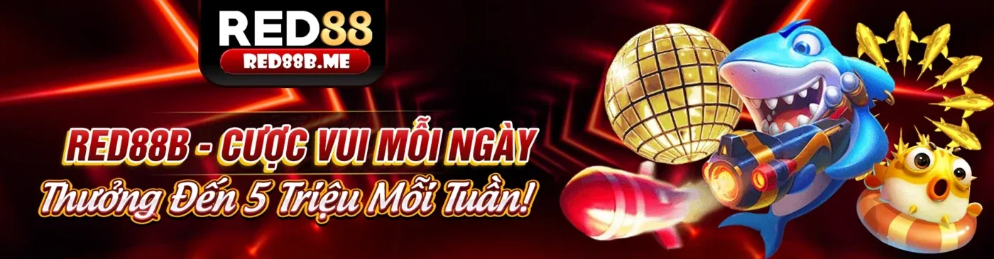 Các chương trình khuyến mãi độc quyền tại DP568