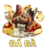 Hoàn trả cao