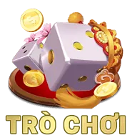 Quản lý tài khoản